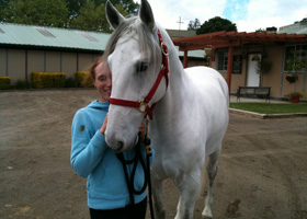 a-lusitano.jpg