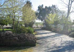 a-main-entrance.jpg