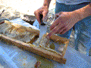 Honey comb